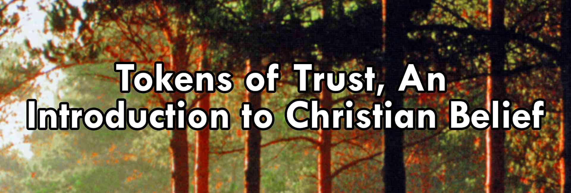 Tokens of Trust. An Introduction to Christian Belief
